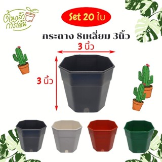 กระถาง 3 นิ้ว ทรงแปดเหลี่ยม 20 ใบ สุดคุ้ม!!! มีโค้ดส่วนลด มีหลายสี แบบหนา ถูกที่สุด กระถางแคคตัส