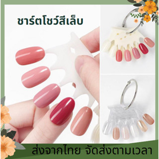 ชาร์ตสีทาเล็บ ชาร์ตตัวอย่างสีทาเล็บ ชาร์ตใบพัดทาสีโชว์สวยๆ แผ่นชาร์ต เล็บปลอมแบบพวง 50 เล็บ เล็บปลอมสำหรับทาสีตัวอย่าง