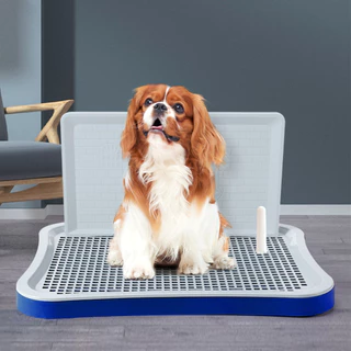 Petcho ถาดรองฉี่สุนัข 2 ชั้น เสาให้น้องเล็ง ห้องน้ำสุนัข Dog Toilet Tray