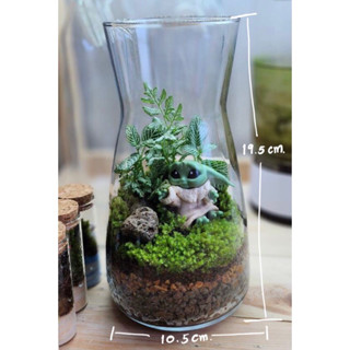 03 สวนขวด Terrarium จัดสำเร็จแล้ว ของขวัญ