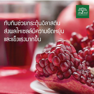 [ซอง] เดอ ลีฟ ทานาคา เอ็กซ์ตร้า มอยเจอร์ไรซิ่ง/ พรอมิกราเนท เอจเลส 7g De Leaf Thanaka Extra Moisturizing/ Pomegranate 7g
