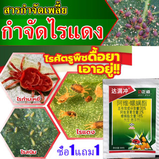 กําจัดไรแดง100% ไม่ทำร้ายผักพืช ยากําจัดไรแดง กำจัดไรศัตรูพืช กำจัด ไรแดง แอฟริกัน ไรขาว พริก ยาไรแดง