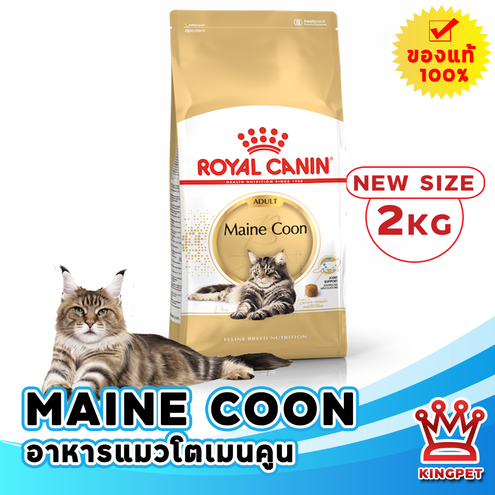 [EXP7/2027] Royal canin MAINE COON ADULT 2กก อาหารแมวโตพันธุ์เมนคูน
