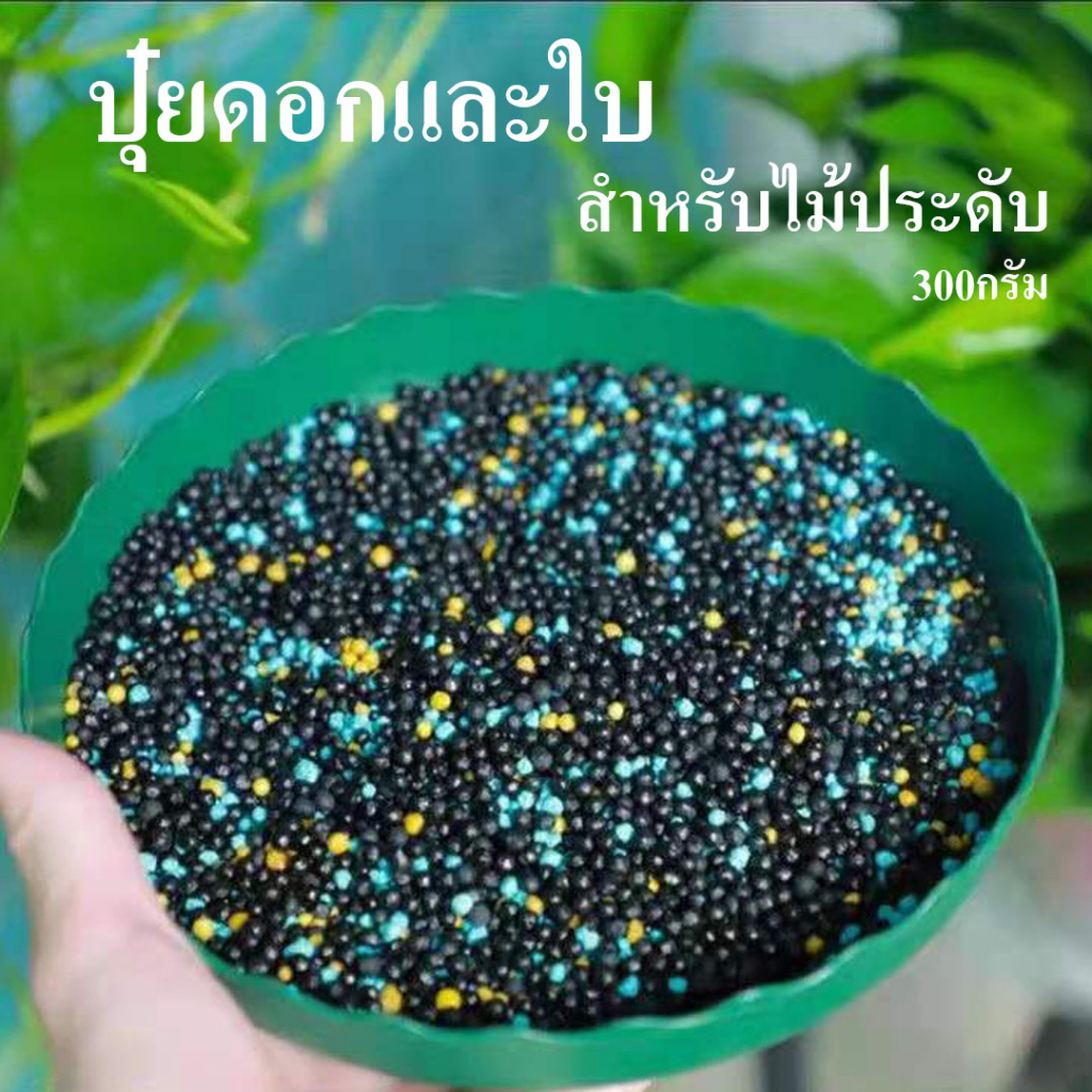 ปุ๋ยเร่งดอก บำรุงใบ สูตร4เดือน ละลายช้า ปุ๋ยกุหลาบ ปุ๋ยบอนสี กล้วยไม้ แคคตัส ปุ๋ยไม้ประดับ