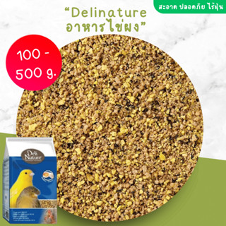 Delinature Eggfood อาหารไข่ (ไข่ผง) สำหรับนกทุกสายพันธุ์และสัตว์ฟันแทะ (แบ่งขาย 100 - 500g.)