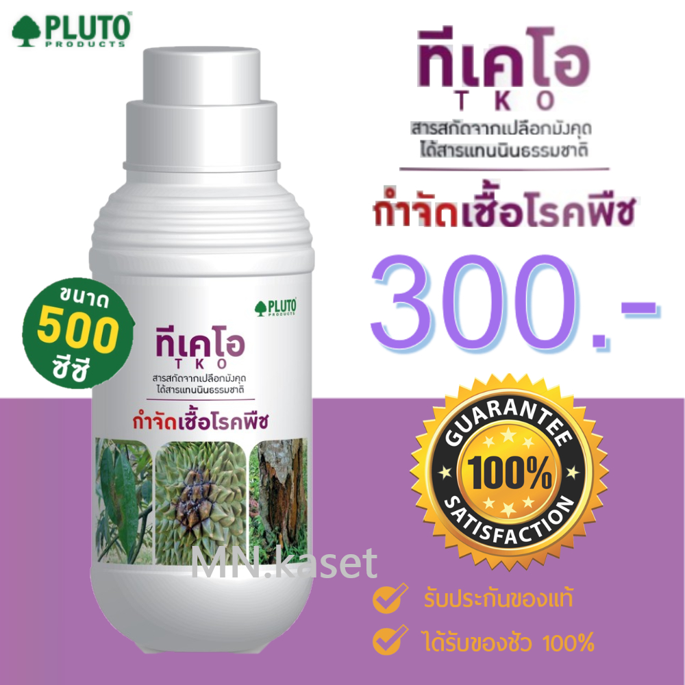 สารสกัด เปลือก มังคุด ทีเคโอ TKO 500cc รักษาโรคพืช ฉีดได้ ทาได้ ใช้ซ้ำได้ ไม่ดื้อยา สารสกัดจากธรรมชาติ