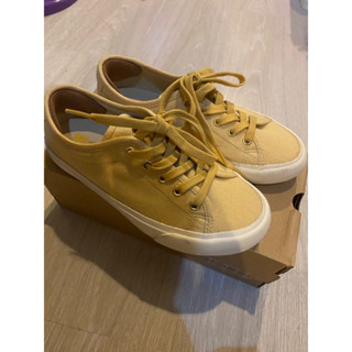 ส่งต่อรองเท้า mustard sneakers Alexis in Honey ไซส์36
