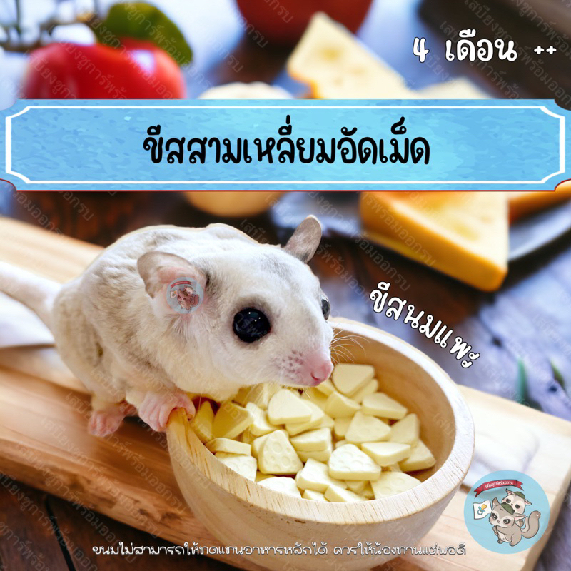 ( ชีสสามเหลี่ยม ) ขนมชูการ์ ขนมแฮมสเตอร์