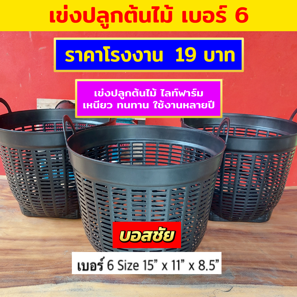!!แพ็ค 10 ใบ!! เข่งพลาสติก เบอร์ 6 ปากกว้าง 15 นิ้ว เข่งปลูกต้นไม้ เข่งผลไม้ เข่งปลูกทุเรียน