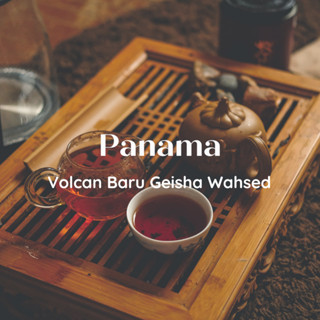 สารเมล็ดกาแฟ Panama Volcan Baru Geisha Washed