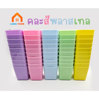 แพ็ค 100 ชิ้น กระถางต้นไม้ กระถางแคคตัส ขนาด 2 นิ้ว