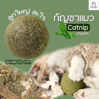 catnip กัญชาแมว แคทนิปบอล สมุนไพรออร์แกนิค ลูกบอลแมว Catnip ball ขนาด 10 cm