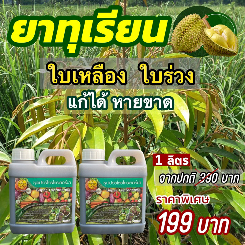 [ใช้โค้ดลดวีดีโอ] ยาทุเรียนซุปเปอร์ไตรโคเดอร์มา