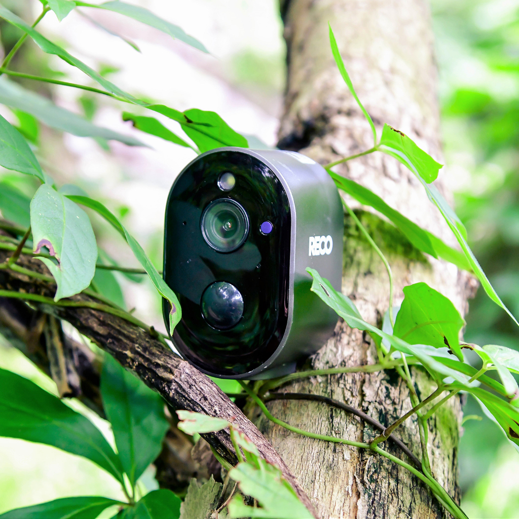 รูปภาพ 8