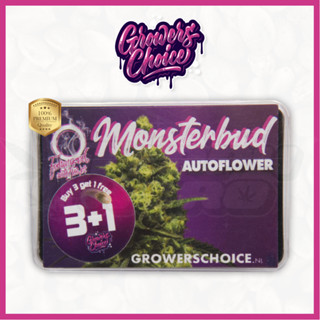 Monsterbud (Auto) - Growers Choice เมล็ดกัญชา นำเข้าแท้100% เมล็ดเพศเมีย