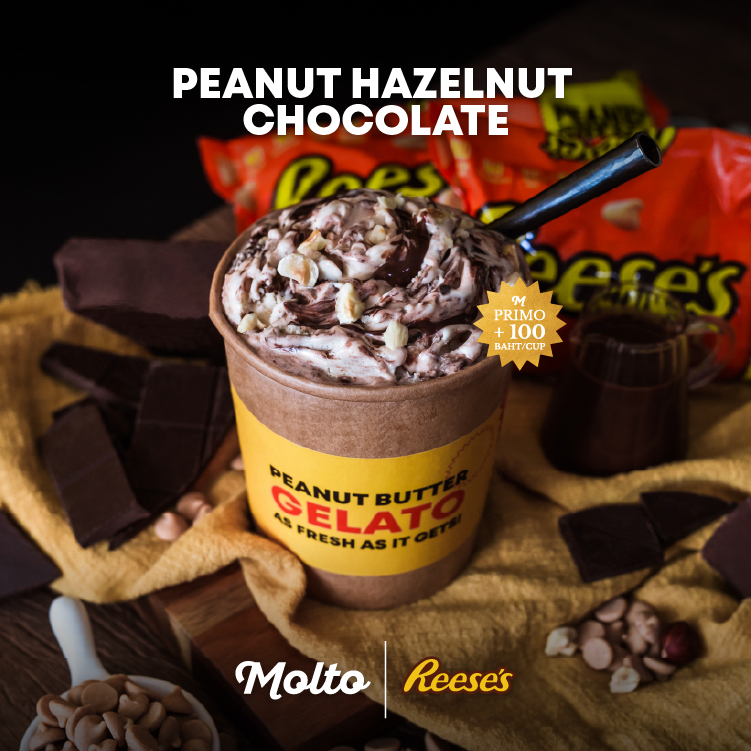 Reese's : Peanut Hazelnut Chocolate (ไอศกรีมรสเนยถั่วรีสส์ 1 ถ้วย 16 oz.) - Molto premium Gelato