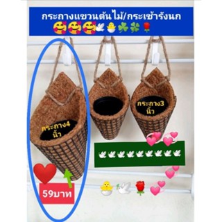 กระถางแขวนต้นไม้(กระเช้ารังนกใส่ต้นไม้)59บาท