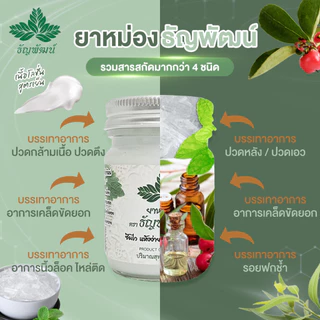 [แพ็ค 5 ขวด ขายดี] ธัญพัฒน์ เนื้อโลชั่น สูตรเย็น ฉลากใหม่มีทะเบียน G ครีมบรรเทาอาการปวดเมื่อย