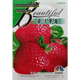 (ขายยกซอง) ซองละ 40 เมล็ด เมล็ดสตรอเบอร์รี่ยักษ์-Honey strawberry