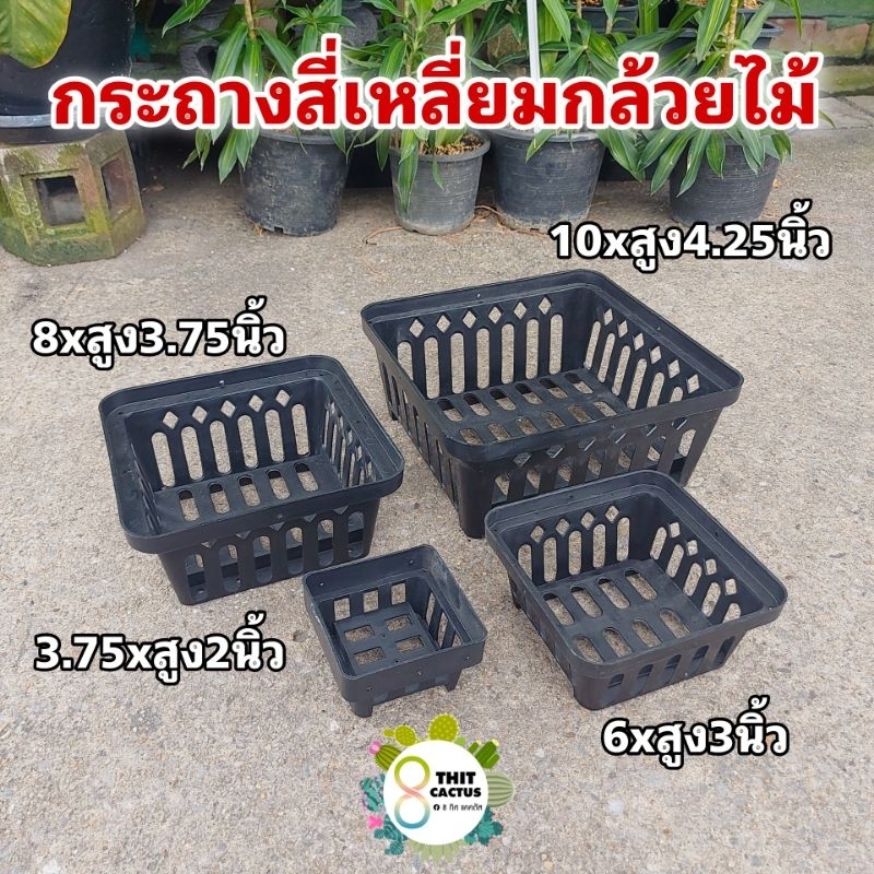 // กระถางกล้วยไม้ // สี่เหลี่ยม // พลาสติก เกษตร