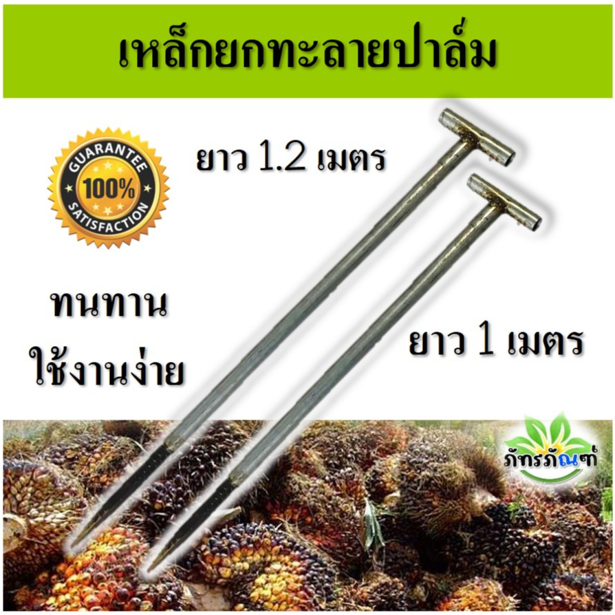 เหล็กแทงปาล์มน้ำมัน เหล็กยกปาล์ม แหลมแทงทะลายปาล์ม เหล็กแทงทะลายปาล์ม แทงปาล์ม แหลมยกทะลายปาล์ม อุปกรณ์ส่วนปาล์ม