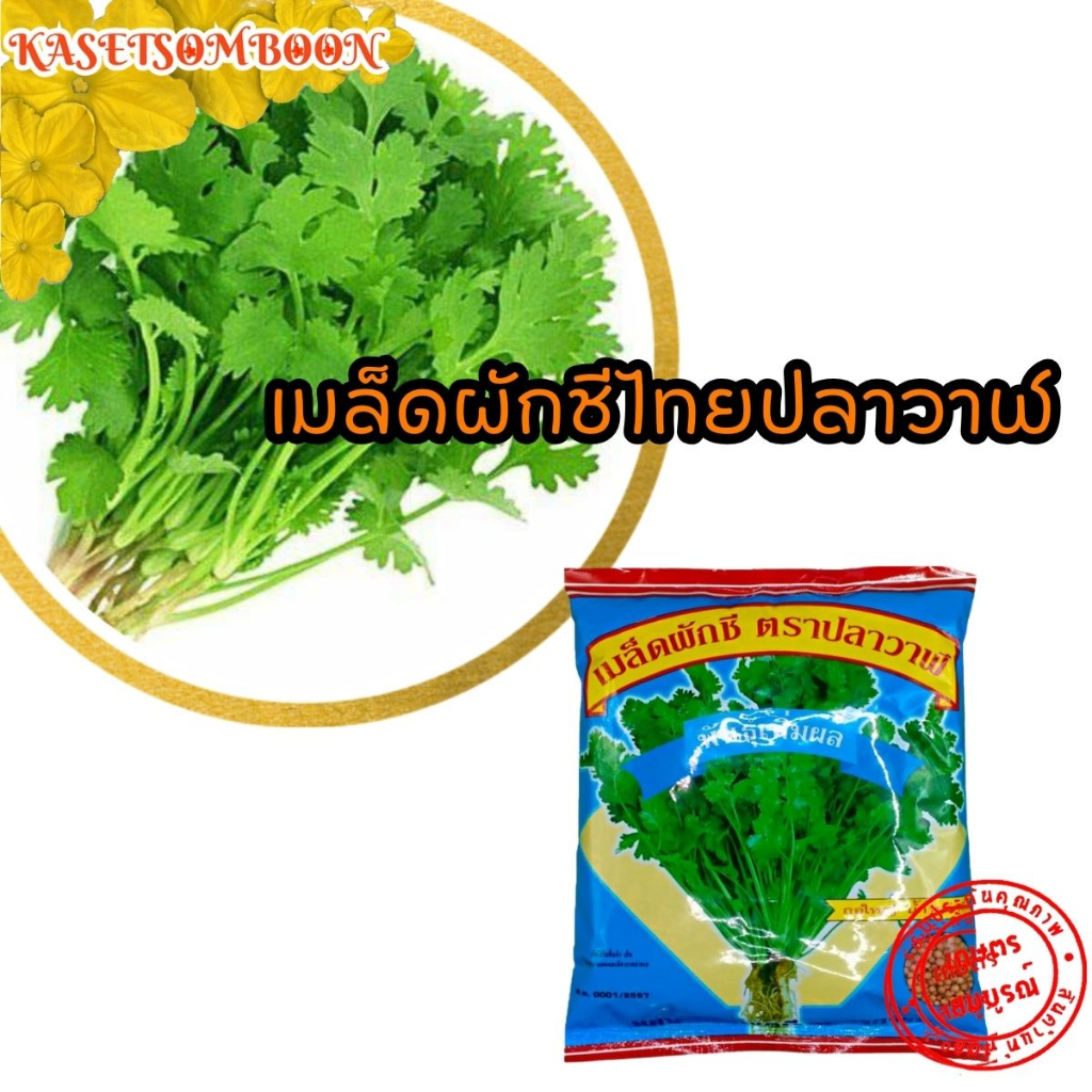 เมล็ดผักชีปลาวาฬ เมล็ดพันธุ์ผักชีไทย (พันธุ์เพิ่มผล) 300 ก. ตราปลาวาฬ