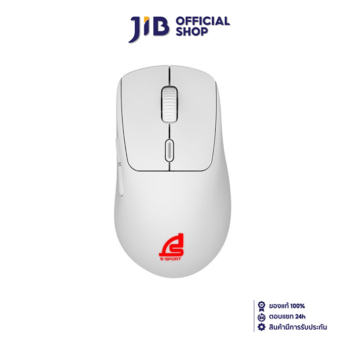 WIRELESS MOUSE (เมาส์ไร้สาย) SIGNO WG-902W VEXXER (WHITE)