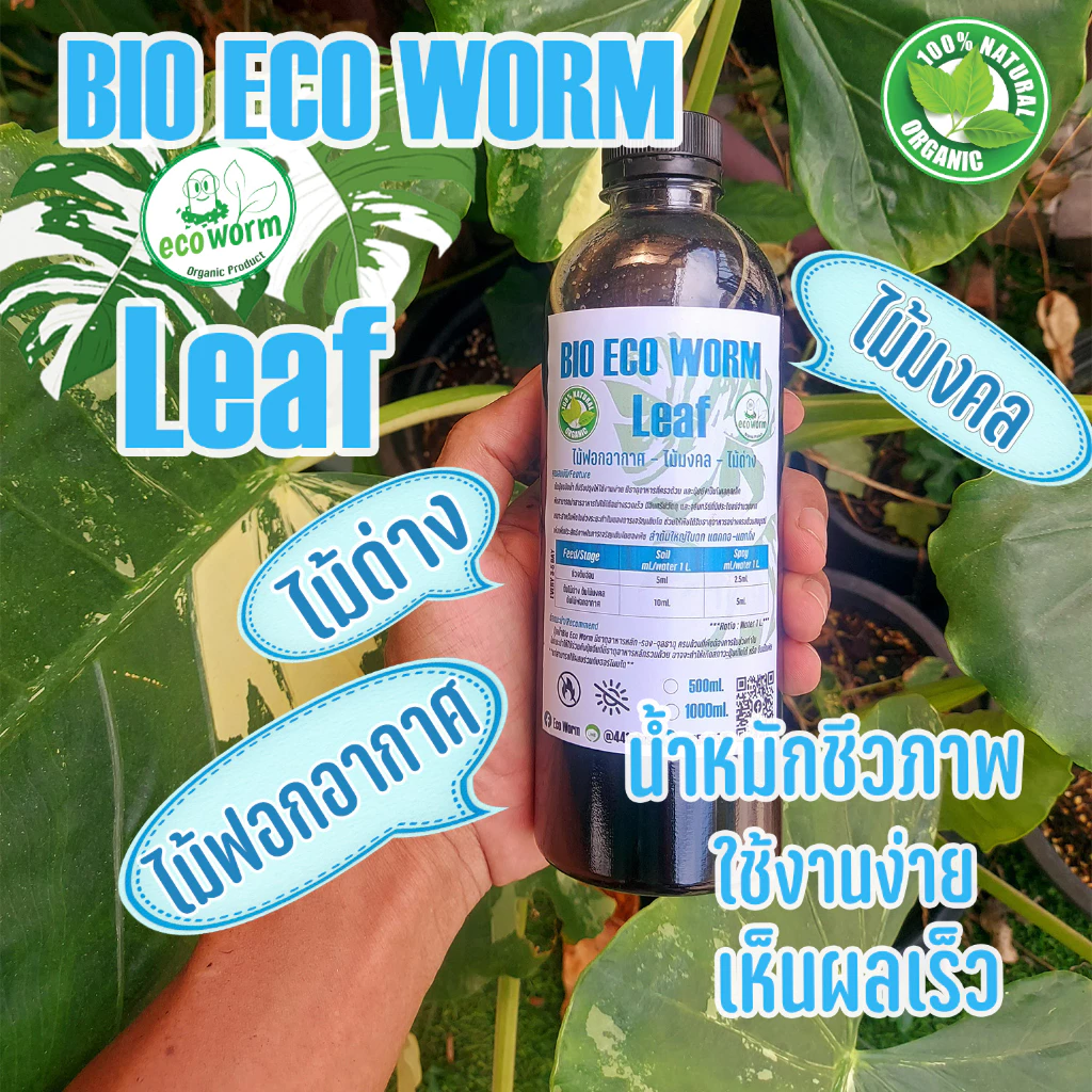 ปุ๋ย ไม้ฟอกอากาศ ไม้มงคล ไม้ด่าง Air Purifying Plants สำหรับไม้ใบ ทุกชนิด #บอน #ฟิโล #มอนสเตอร่า