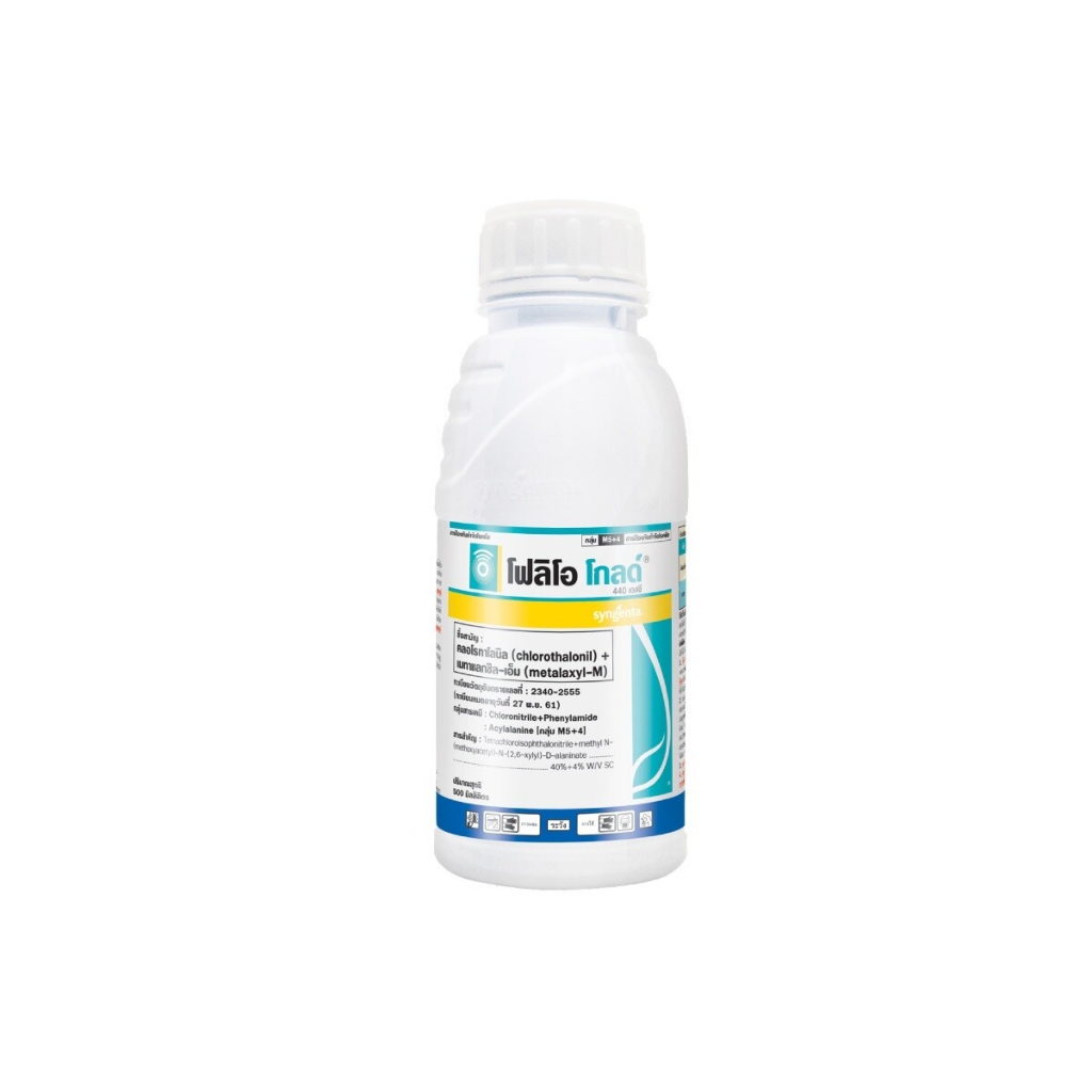 โฟลิโอ โกลด์ ขนาด 500 ซีซี ชื่อสามัญ: คลอโรทาโลนิล (chlorothalonil) + เมทาแลกซิล-เอ็ม (metalaxyl-M)