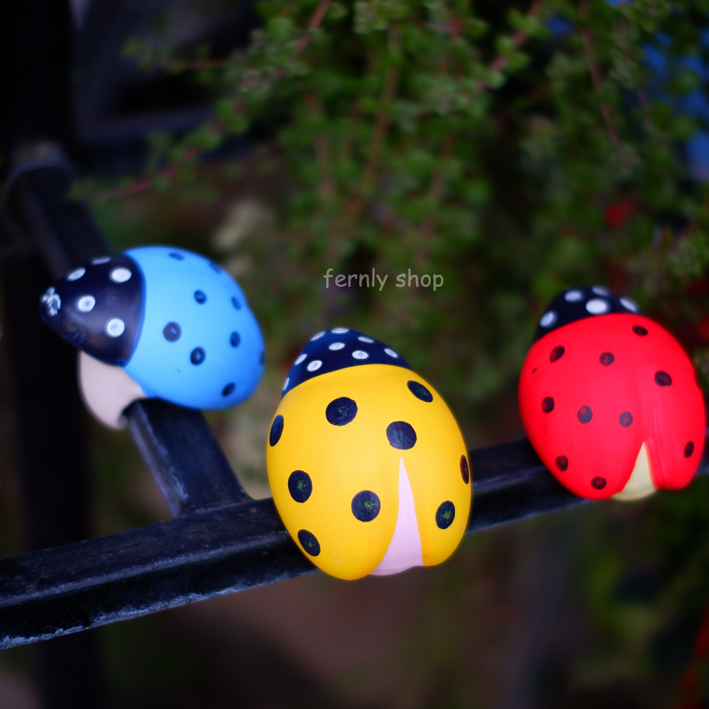 แมลงเต่าทองเชรามิก เต่าทองเกาะ ต้นใม้