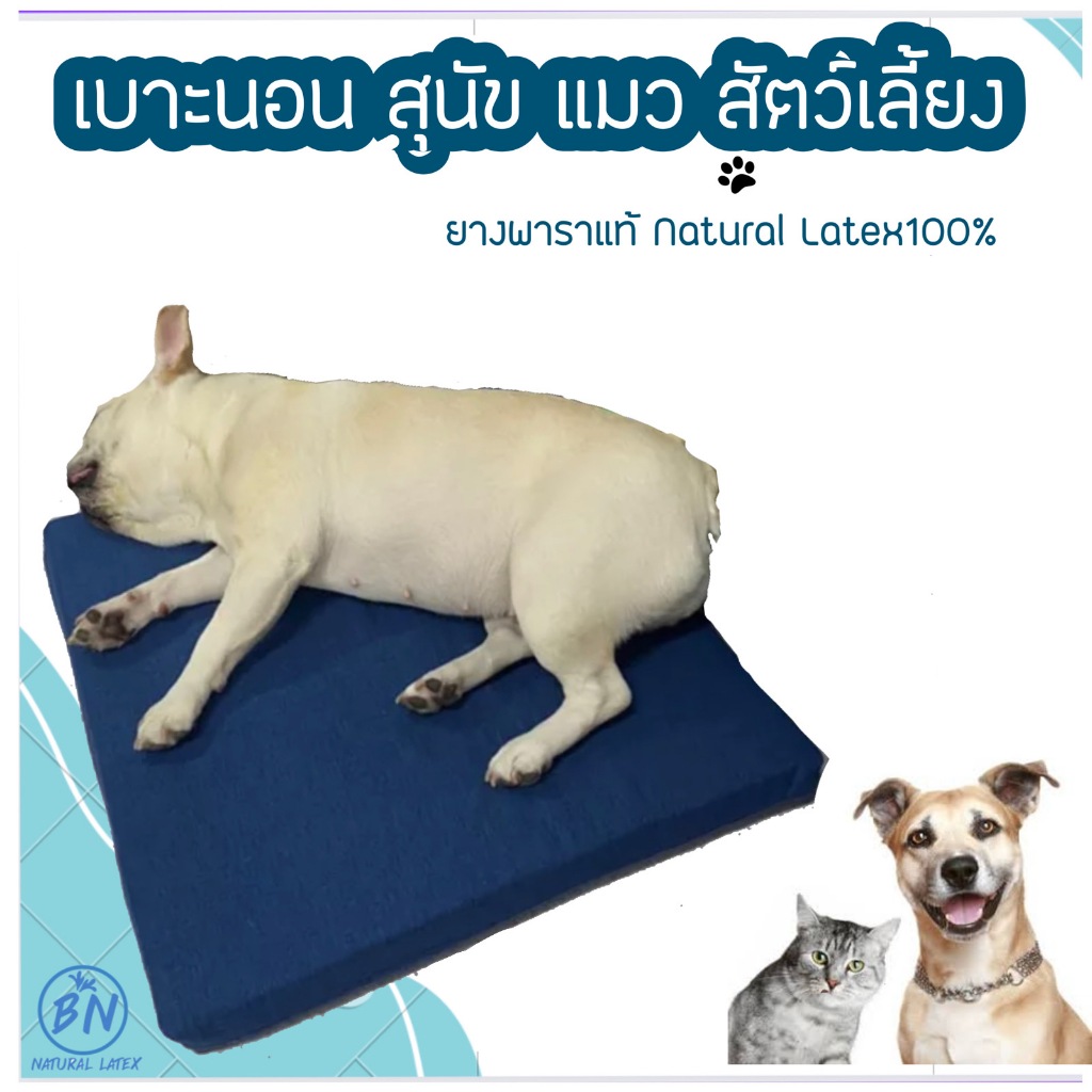 เบาะนอนสัตว์เลี้ยง สำหรับสุนัข แมว ยางพาราแท้ 100%ระบายอากาศได้ดี มีปลอกซิปถอดซักได้ ไม่มีกลิ่นฉุน