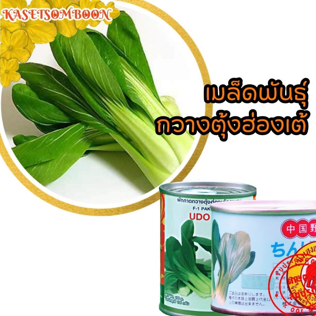กวางตุ้งฮ่องเต้ F1 เมล็ดพันธุ์ผักกาด กวางตุ้งไต้หวัน wase kakyo 100 ก.ตราช้าง