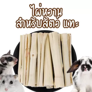 พร้อมส่ง ส่งไว!! 🔥🔥ไผ่หวาน อบแห้ง ลับฟัน สัตว์แทะ ขัดฟัน สำหรับ กระรอก หนู กระต่าย ชูก้า สัตว์เล็ก sweet bamboo แพรี่ด็