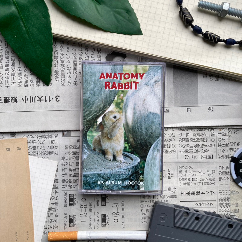 เทปAnatomy rabbit  อัลบั้ม hootok