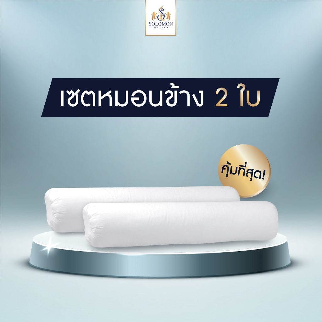SOLOMON หมอนข้าง 2 ใบ เพื่อสุขภาพ ป้องกันไรฝุ่น
