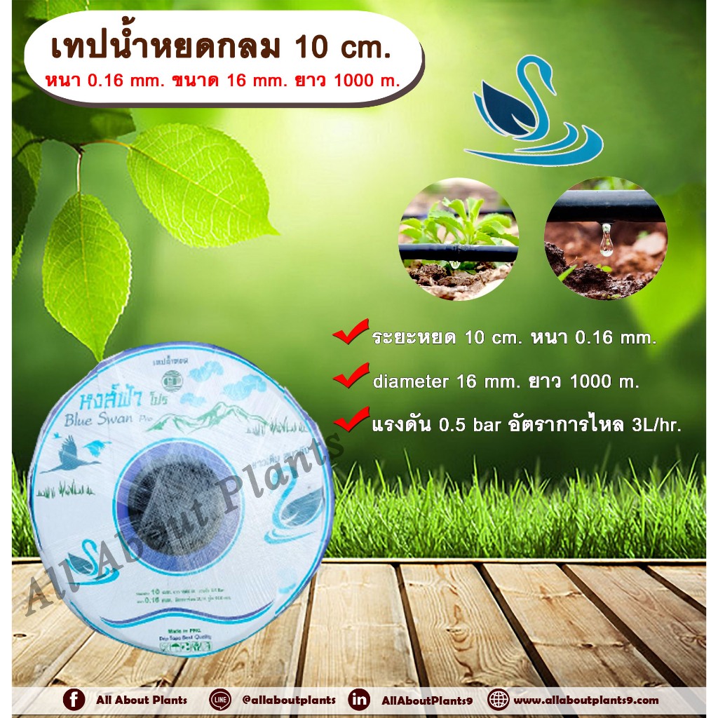 เทปน้ำหยด 10 cm. หนา 0.16 mm. ขนาด 16 mm. ยาว 1000 เมตร. ตราหงส์ฟ้า เทปน้ำหยด สายน้ำหยด แบบกลม ระยะห