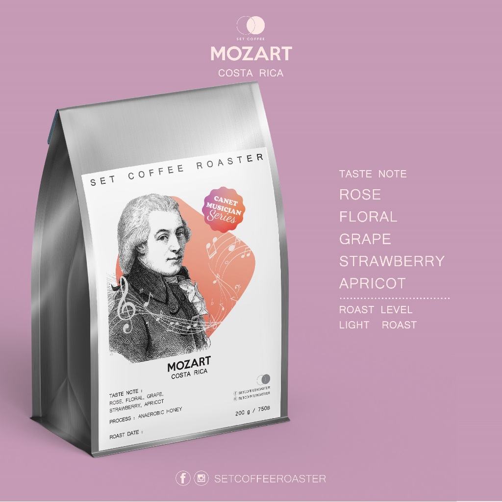 COSTA RICA Mozart Canet Musician Series