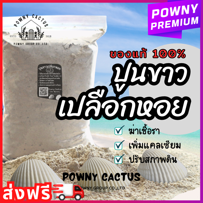 ปูนขาว เปลือกหอย แท้ 100% ฆ่าเชื้อรา แก้ปัญหาใบงอ ใบหยิก รากเน่า เพิ่มแคลเซียม