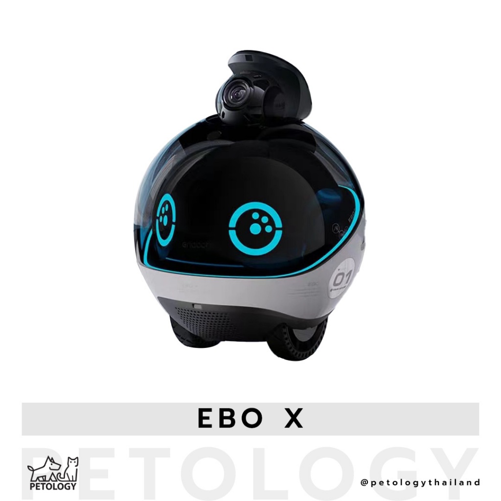 Petology - EBO X Family Companion Robot