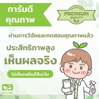 Eco Feel สเปรย์ไล่จิ้งจกตุ๊กแก สมุนไพร Organic100% 250ml ปลอดภัยต่อผู้ใช้,สัตว์เลี้ยง ไล่ไม่ฆ่า❌🪦