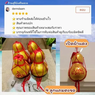 น้ำเต้าแท้💯ผ่านพิธี🔥(เปิดจุกได้) น้ำเต้า น้ำเต้าดูดทรัพย์ แก้ประตูตรงกัน ยันต์มหาระรวย กันเงินรั่วไหล เงินทองไหลมา
