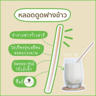 P216 หลอด หลอดฟางข้าว เป็นมิตรต่อสิ่งเเวดล้อม ( 100 ชิ้น ) หลอดธรรมชาติ หลอดรักษ์โลก ลดโลกร้อน SP