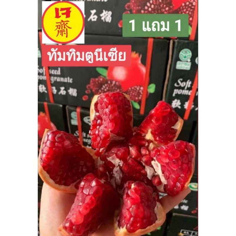 ทับทิมตูนีเซีย ✔️✔โปร 1แถม1 ✔️✔🚩🚩!!ช่วงต้นฤดูกาลสีจะไม่เข้มมากนะคะ!!🚩🚩หวาน อร่อย ประโยชน์มาย