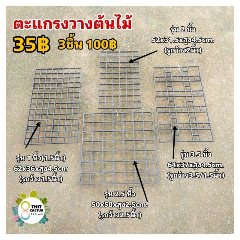 ตะแกรงวางต้นไม้ // กด 3 ใบ 100฿ -- มีขนาด 1-2-2.5-3.5 นิ้ว ตะแกรงพลาสติก แคคตัส กระบองเพชร