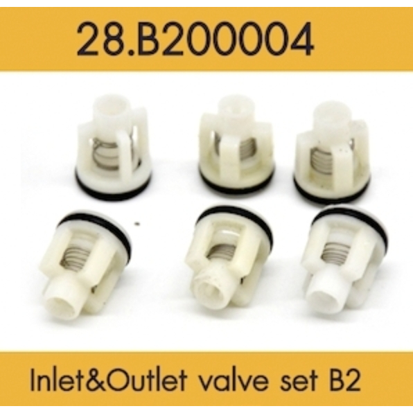 Flow Energy - B200004 อะไหล่หัวปั๊มใหม่ ชุด inlet & outlet set B2