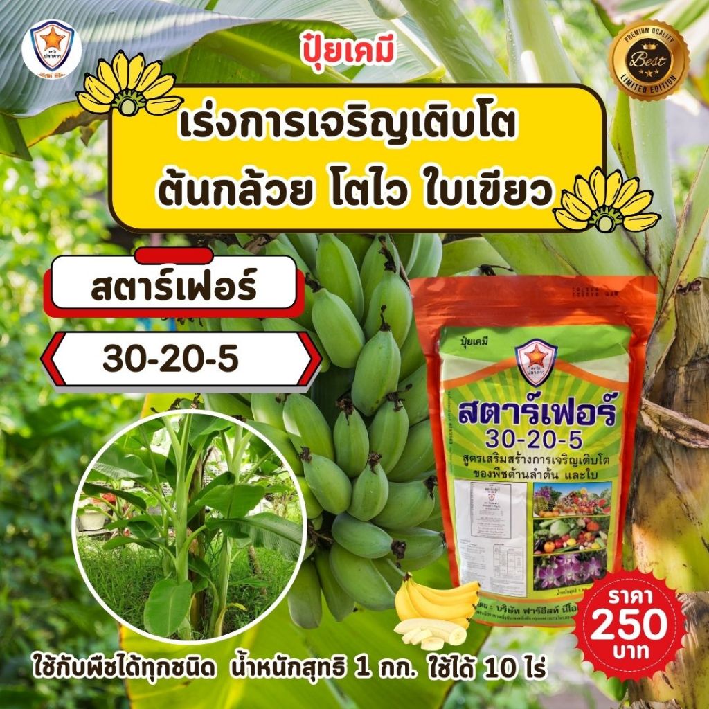 ปุ๋ย ฉีดพ่น ต้นกล้วย โตไว ใบเขียว เร่งราก เร่งดอก ผลใหญ่ ดกเต็มต้น น้ำหนักดี เพิ่มผลผลิต โดย สตาร์เฟอร์
