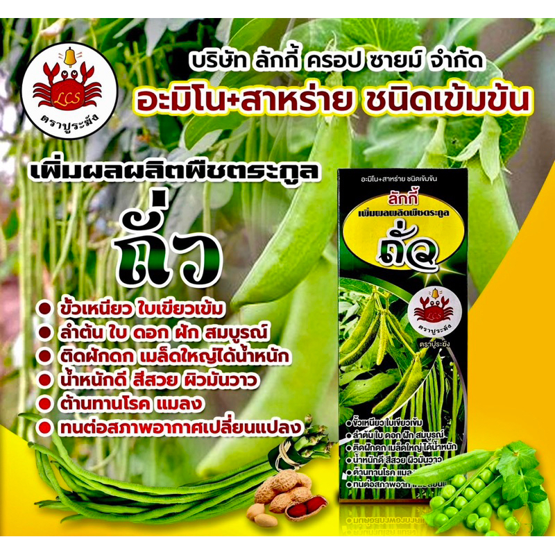 ถั่ว🫘-🦀ขนาด1ลิตร : อะมิโน+สาหร่ายทางใบ (ฮอร์โมนบำรุงพืช/เพิ่มผลผลิต/สำหรับถั่วโดยเฉพาะ)