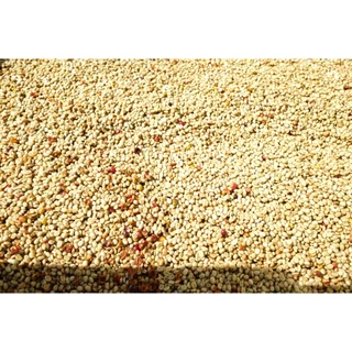 PK เมล็ดกาแฟคั่วเข้ม Blend Dark Roast อาราบิก้าผสมโรบัสต้าขนาด 500g. รสชาติเข้มคั่วใหม่ทุกวัน