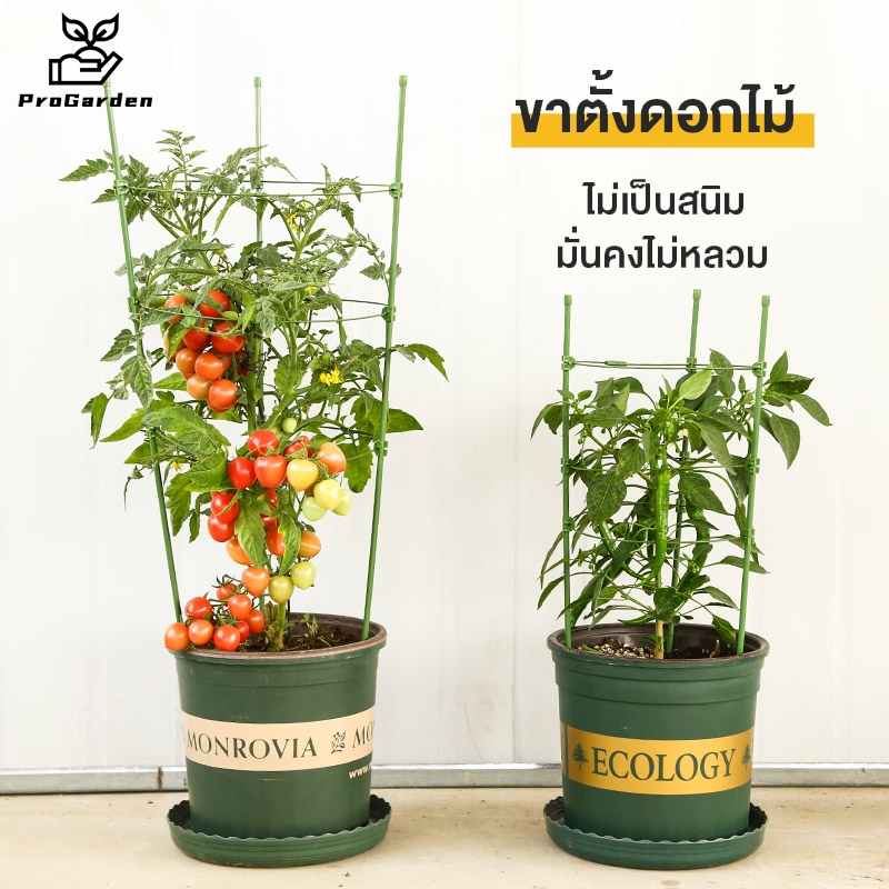 PG.อุปกรณ์สำหรับพืชไม้เลื้อย กรงพืช เสามะเขือเทศ ซุ้มไม้ ทรงต้นไม้ ไม้เลื้อย ทรงพุ่ม โครงเถาวัลย์ โครงปลูก แบบทนทาน