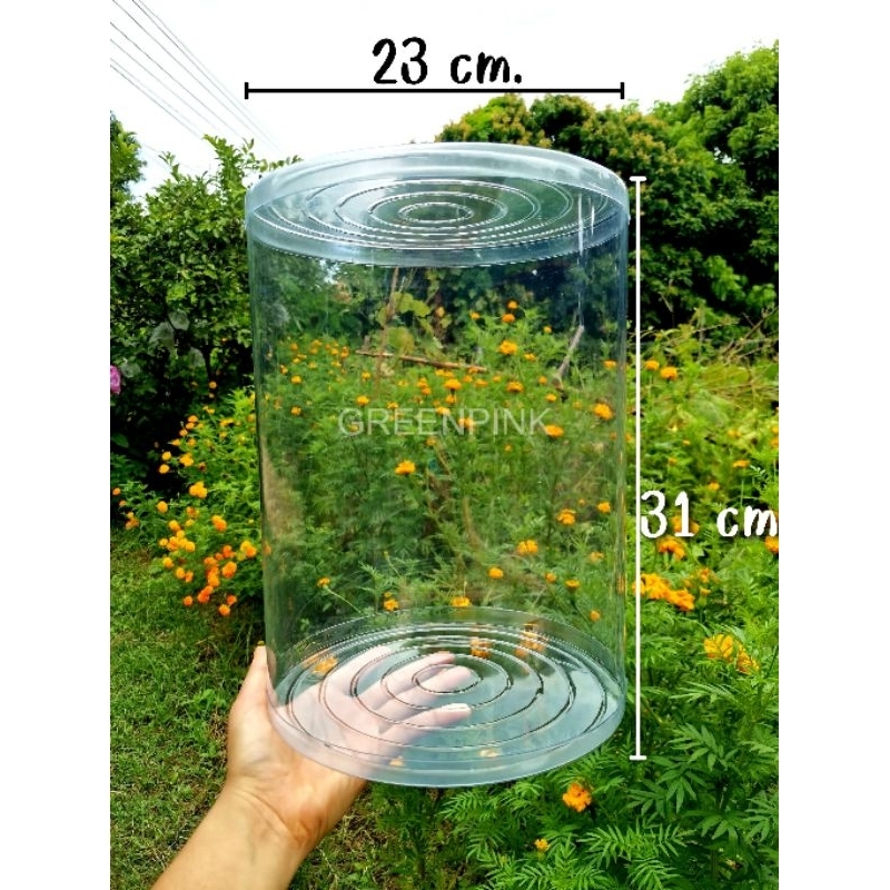 กล่องพลาสติกใส 23x31 cm. กลม ทรงกระบอก กล่องอบต้นไม้